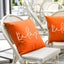 Outdoor Pillows Cushion Covers