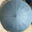 Big Umbrella With Cover