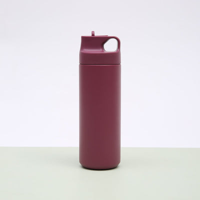 Double-Layer Thermal Insulation Thermo Bottle With Straw