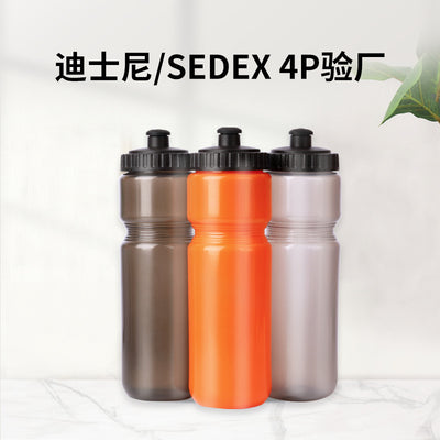 Sports Bottle