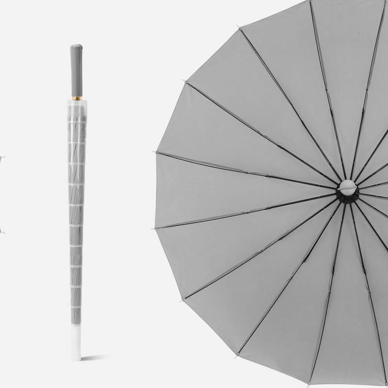 Big Umbrella With Cover