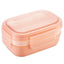 Sealed Fruit And Salad Lunch Box