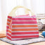 Multi-Coloured Stripes Lunch Bag